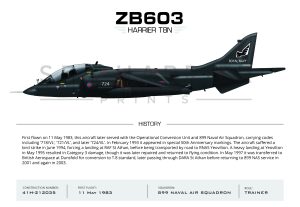 zb604-sea-harrier-t-4n-899-nas-722