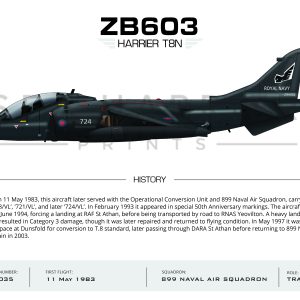 ZB603 Sea Harrier T.8  899 NAS 724