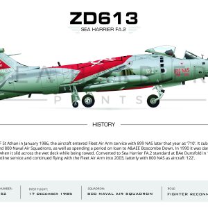 ZD613  Sea Harrier FRS.1  800 NAS  122