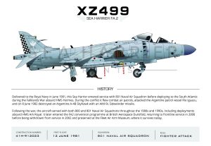 xz499-sea-harrier-fa-2-801-nas-003